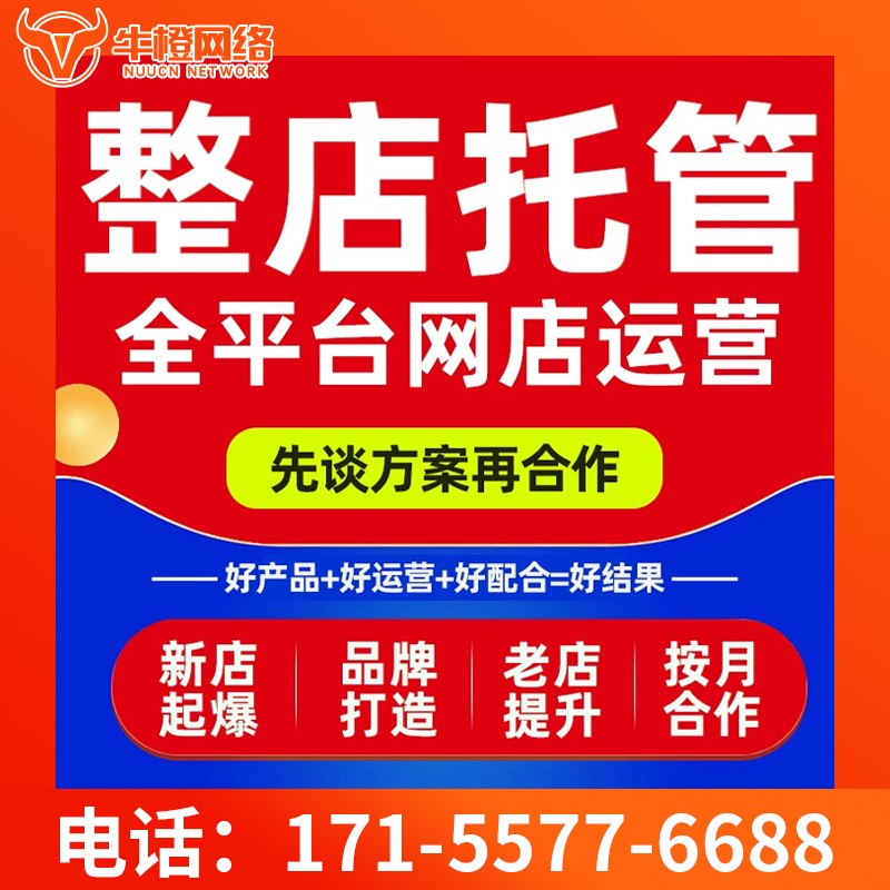 岳阳爱采购代运营