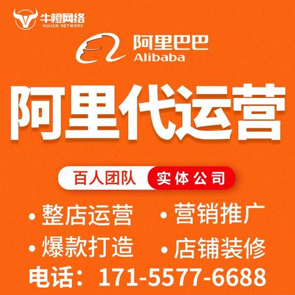 岳阳电商代运营