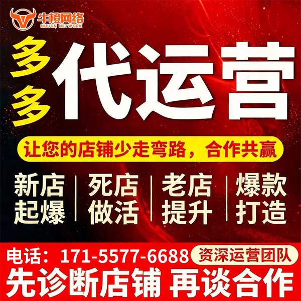 岳阳电商代运营