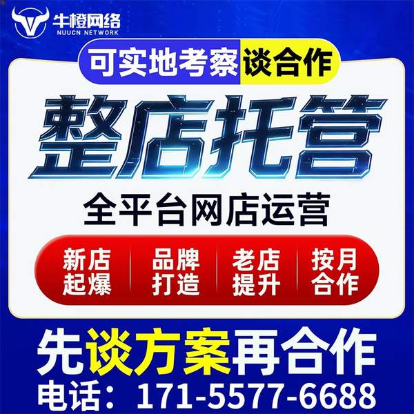 岳阳电商代运营