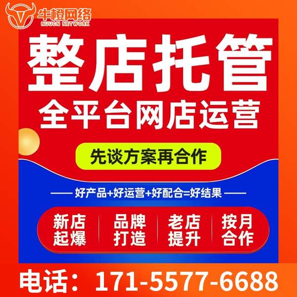岳阳电商代运营