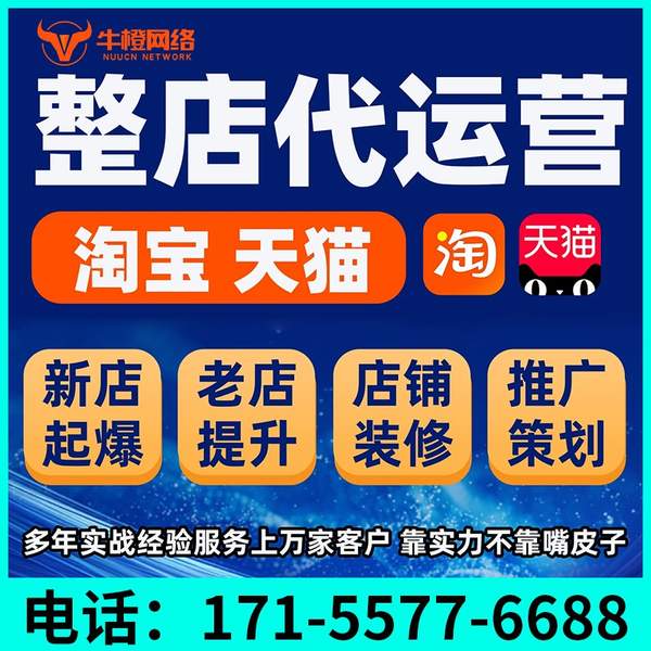 岳阳电商代运营