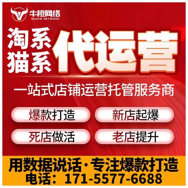 岳阳电商代运营